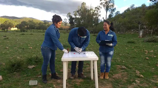 Materia Orgánica